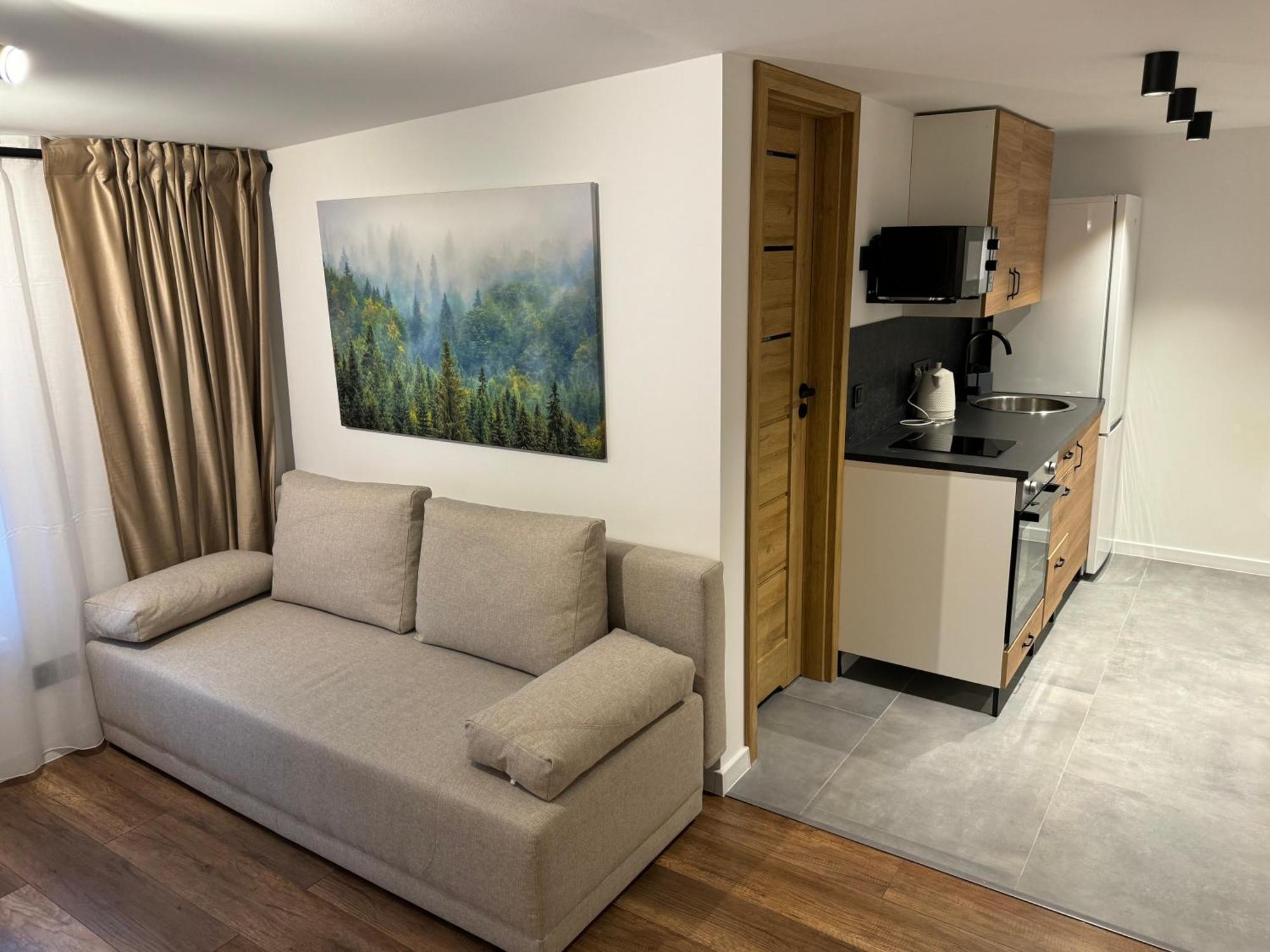 Gray Apartment 24H - Parking On The Street كاتوفيتسه المظهر الخارجي الصورة